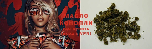 сатива Армянск