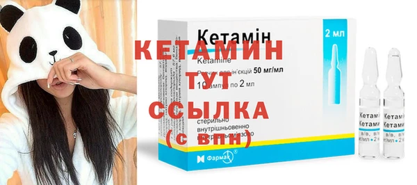 индика Аркадак