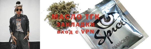 индика Аркадак