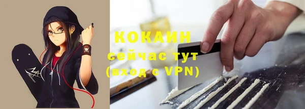 индика Аркадак