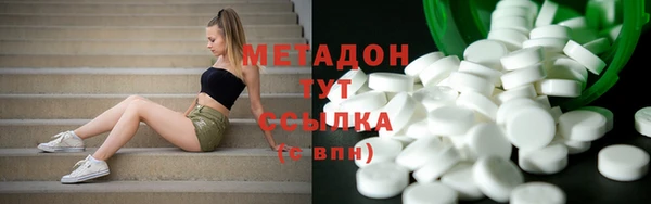 индика Аркадак