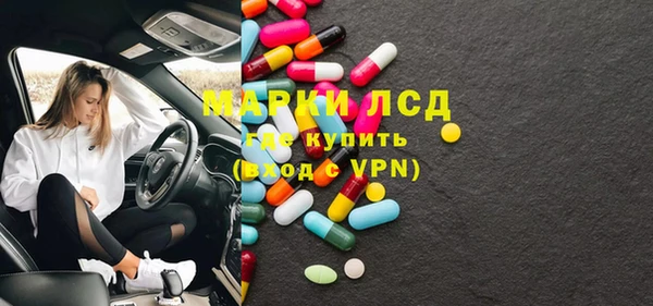 индика Аркадак