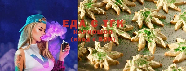 индика Аркадак