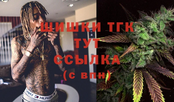 индика Аркадак