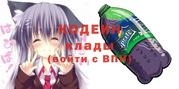индика Аркадак