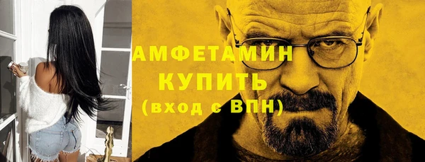 сатива Армянск
